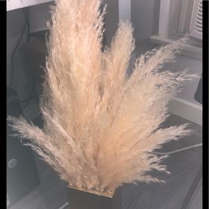 Faux Pamps Grass, comes with 6 branches